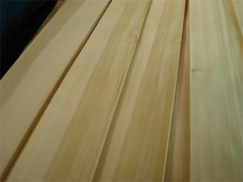 黃楊雙色皮 黃楊雙色皮