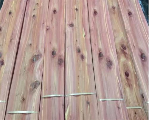 香杉木皮價格 香杉木皮價格