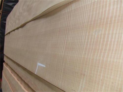 紅影木皮 紅影木皮