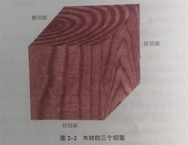 天然木皮原木的宏觀構(gòu)造 天然木皮原木的宏觀構(gòu)造