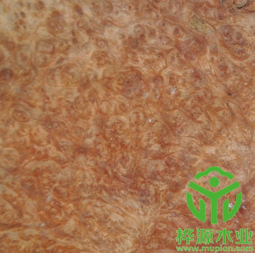 紅花樟樹(shù)榴木皮0.5mm價(jià)格實(shí)惠，高檔樹(shù)榴木皮品質(zhì)保證