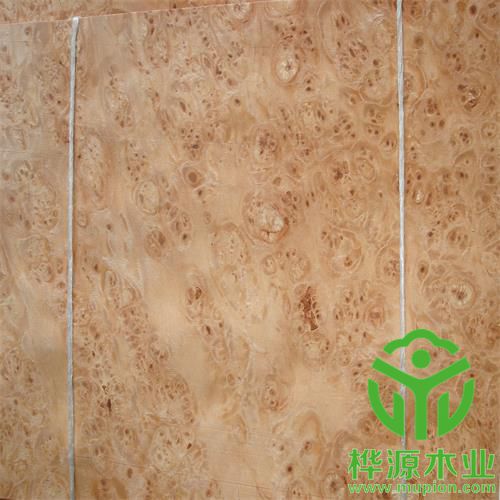 楓木樹(shù)榴木皮0.5mm價(jià)格實(shí)惠，楓木樹(shù)榴木皮質(zhì)量保證